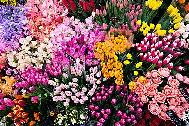 中裕司发推指责勇者斗恶龙制作人向法庭撒谎