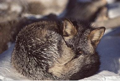 平台射击游戏《闪回2》“剧情”预告片公布