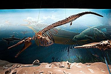 传奇游戏人高桥名人66岁生日 一招鲜吃了40年